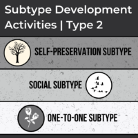 Subtype Development Activities | Type 2 February #2 Blog Thumbnail